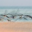 thumbs/IMG_9715.jpg